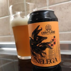 CraftLand - NeLeGa